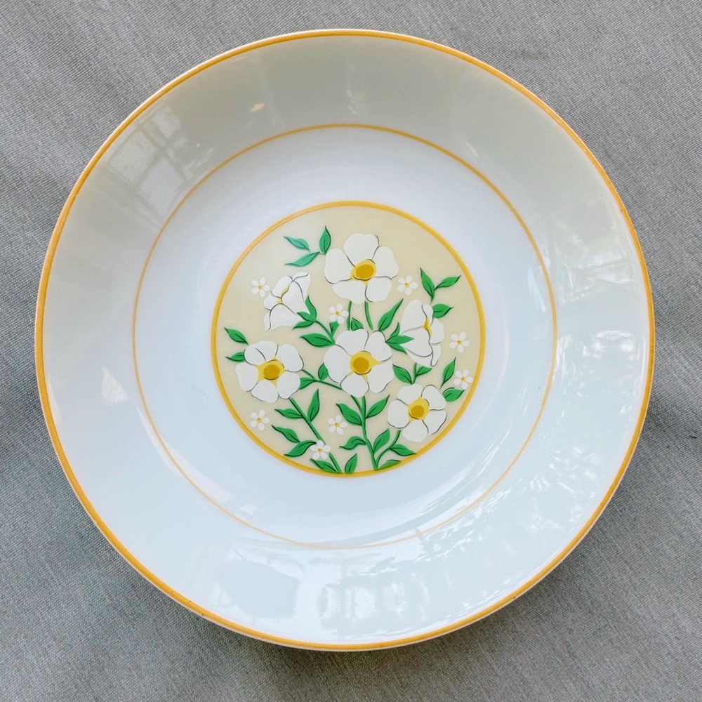 ✨Rare Set of 4 Vintage Jardin Porcelain Floral Plates
